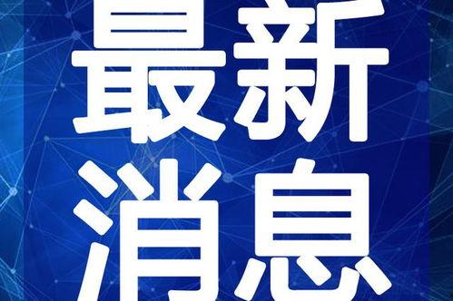 虎门渣男爆料视频最新,揭秘婚内出轨的丑恶真相