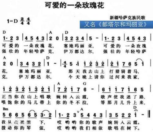 网红歌曲送新娘歌词,一曲传颂千古的婚嫁赞歌